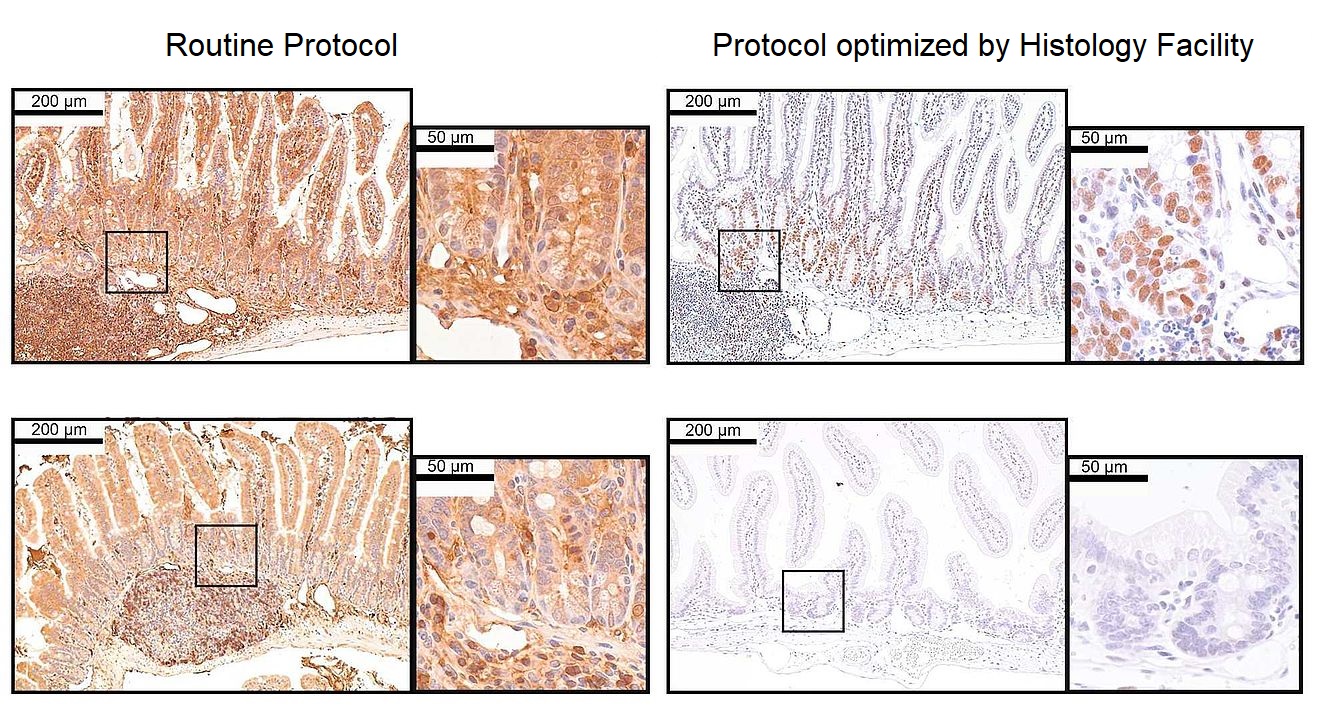 csm_VBCF-HP-NewsImage_cropped_e6c126b424